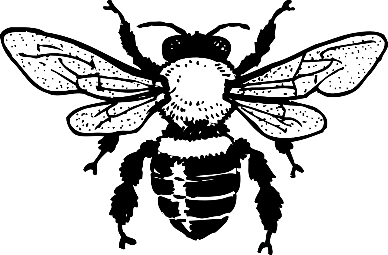 Honey bee site suspended this has stepped out for bit clipart clip art