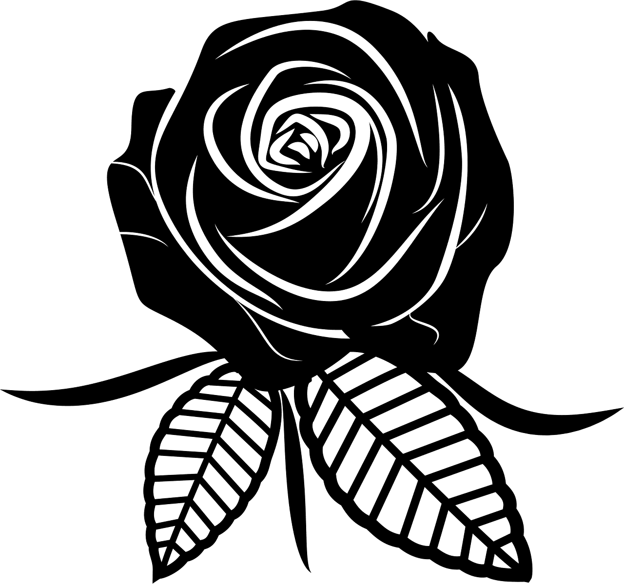 Rose black and white vector clipart images