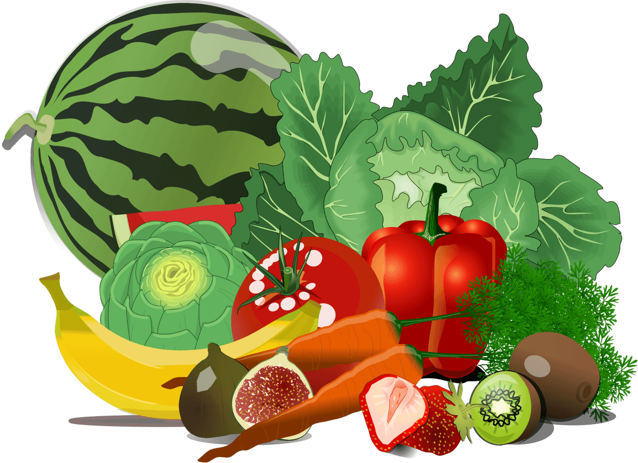 Healthy food vector clipart images