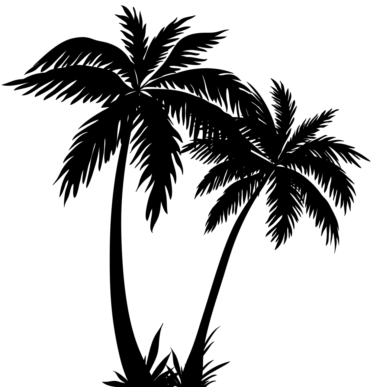 Tree black and white palm trees silhouette clipart image