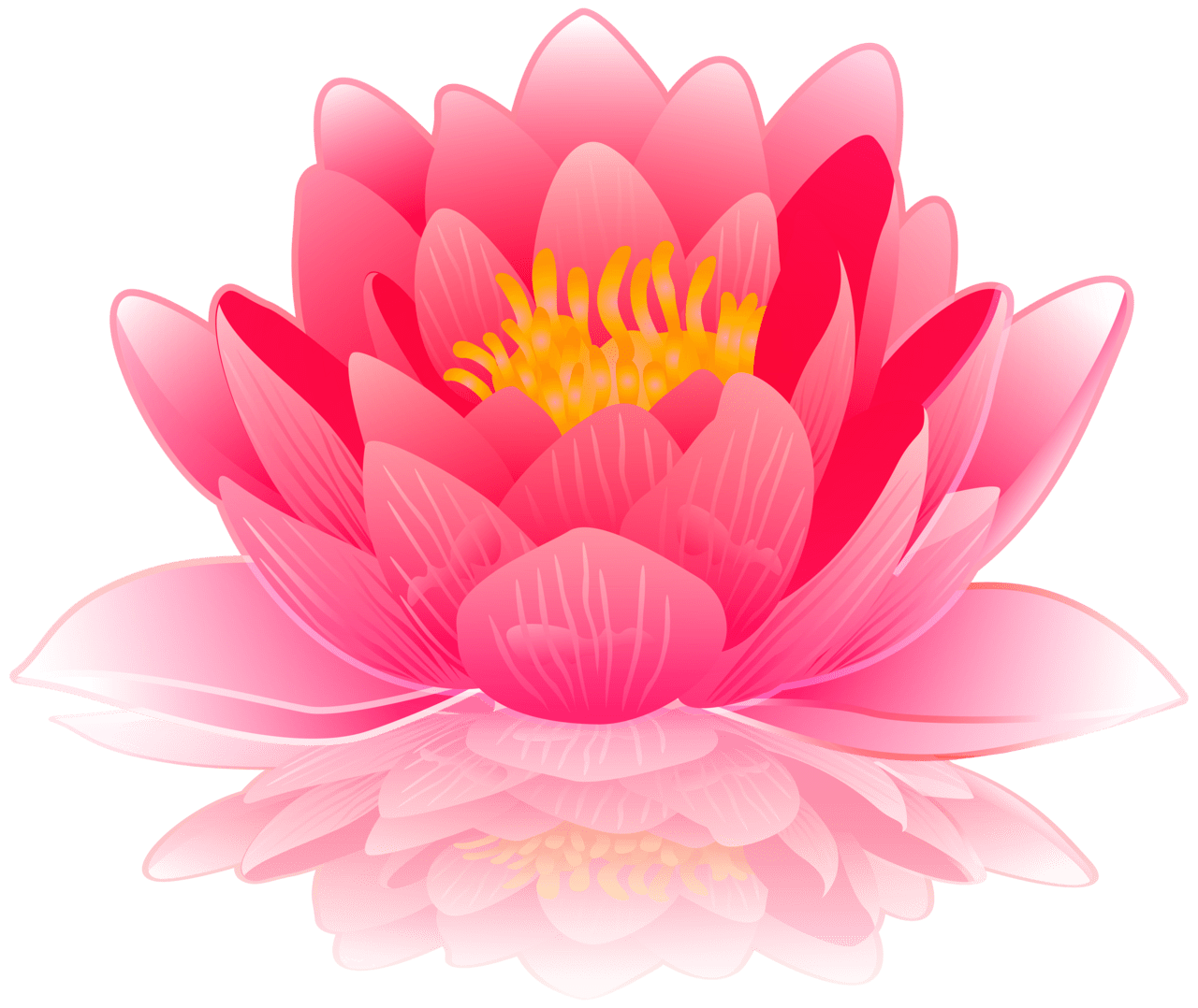 Water lily pad flower cartoon clipart picture