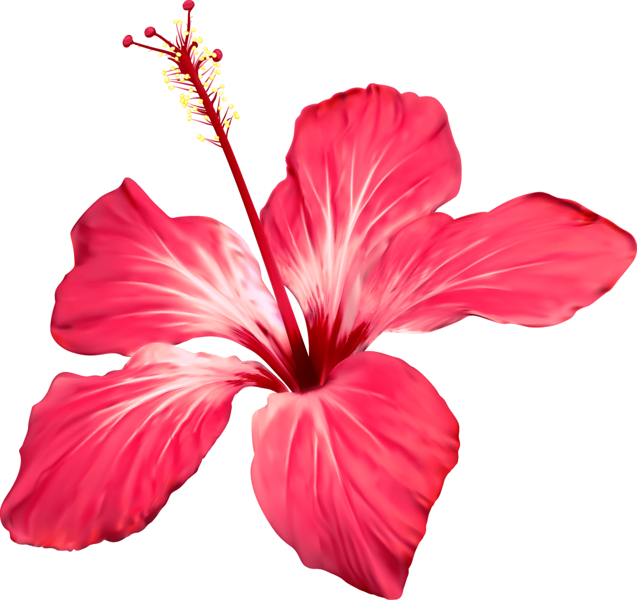 Hibiscus flower pin page clipart photo