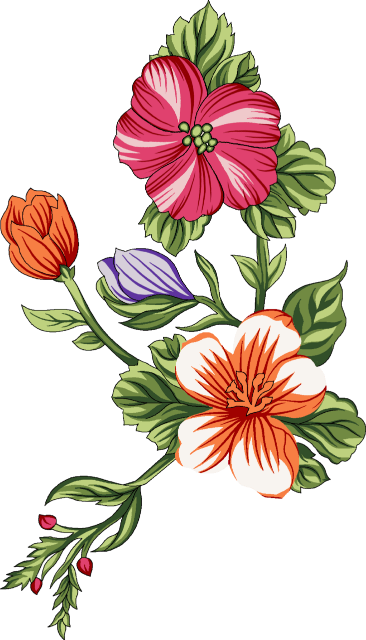 Hibiscus flower pin page clipart free