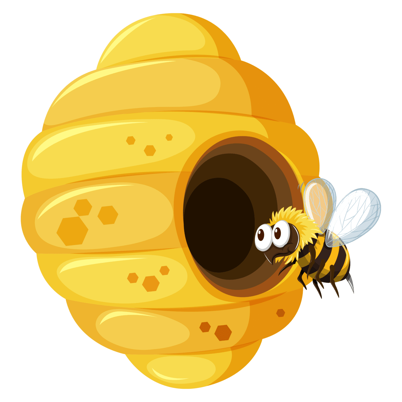 Honeycomb beehive image size clipart