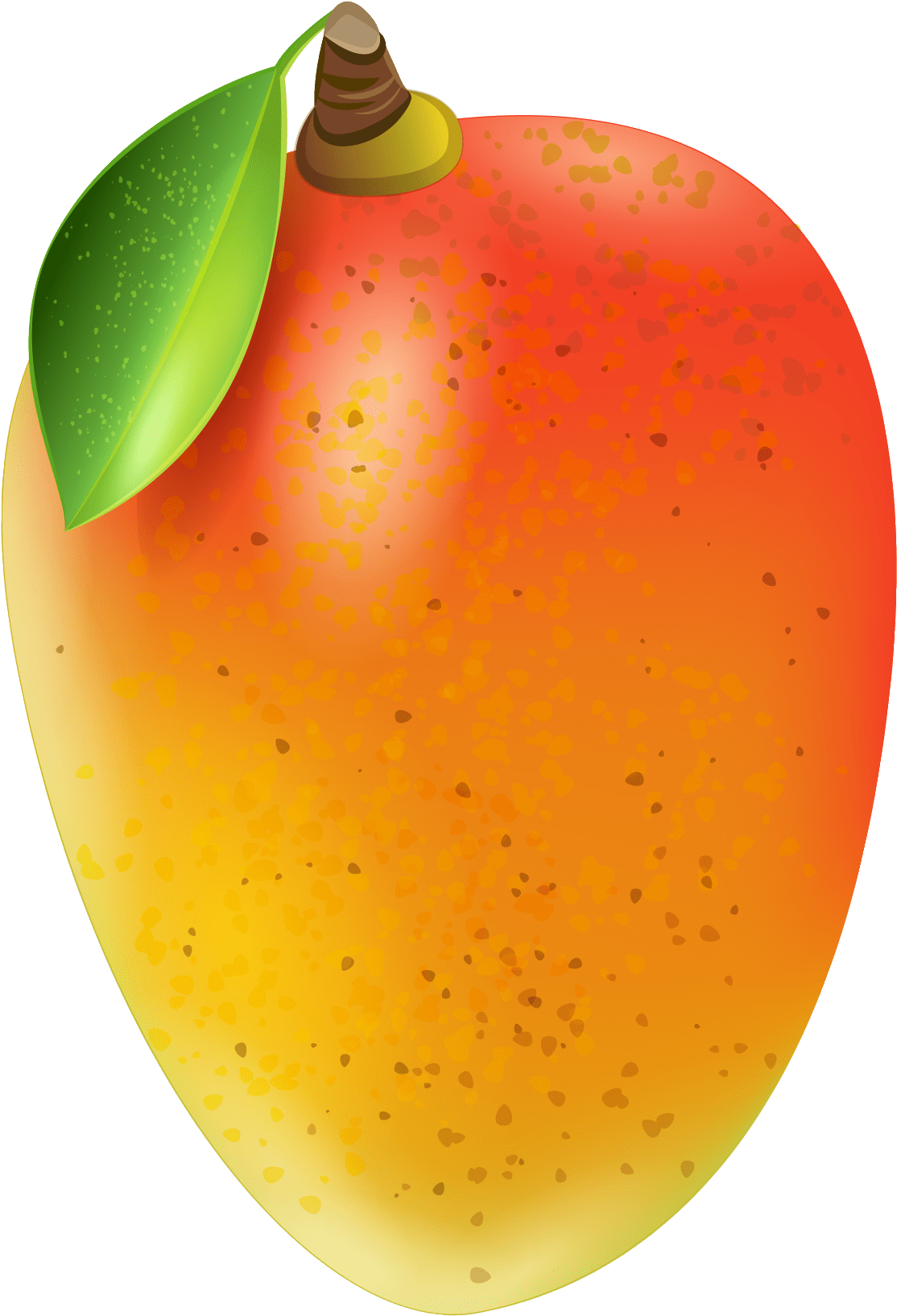 Mango es images clipart