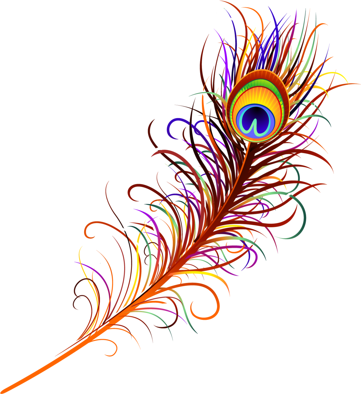 Hd peacock feather image nic clipart