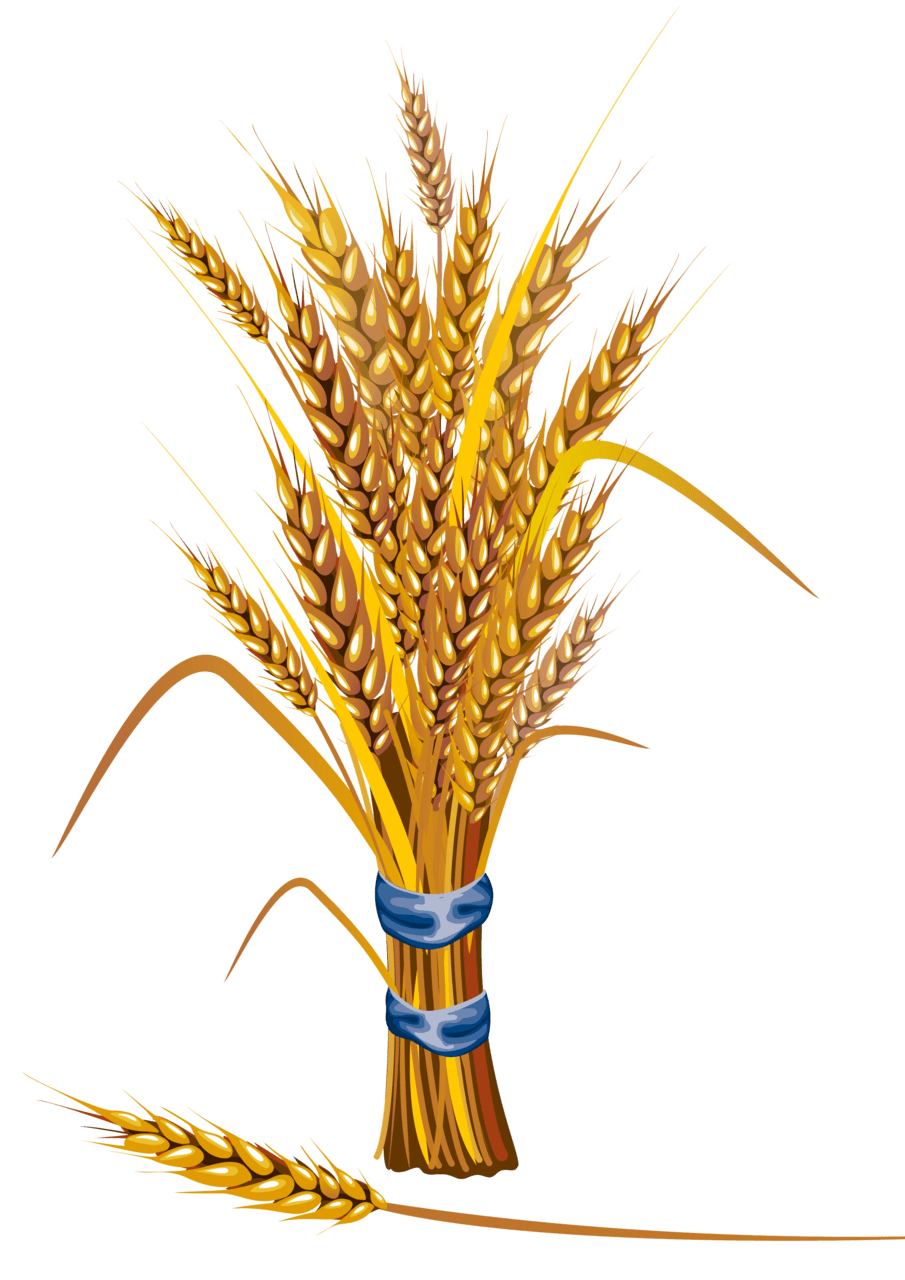 Symbol of desta wheat background clipart