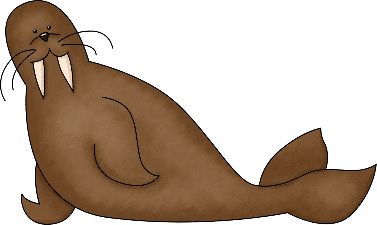 Sea lion clipart arctic seal cartoon walrus image with no background