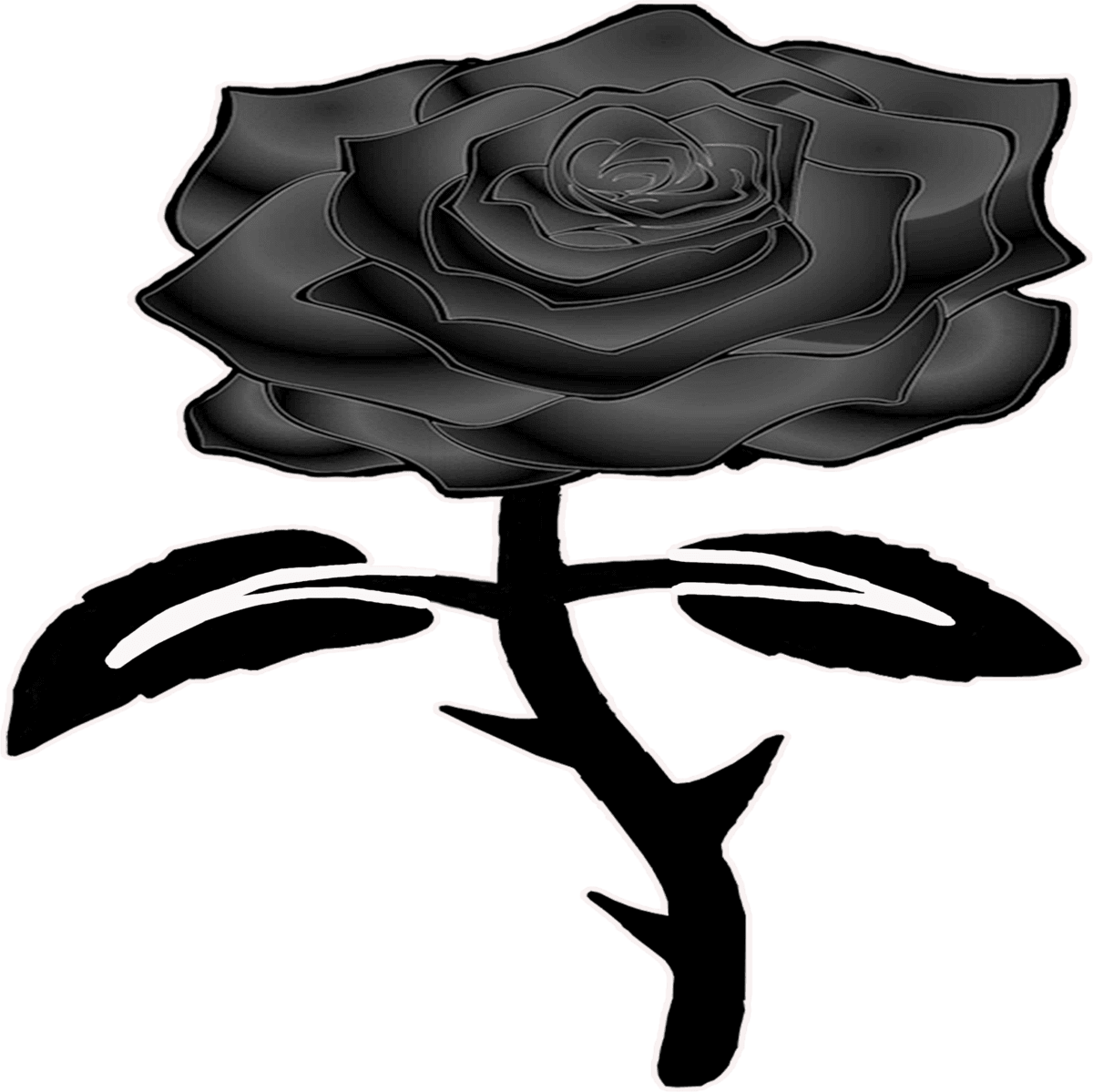 Rose black and white garden roses clipart transparent