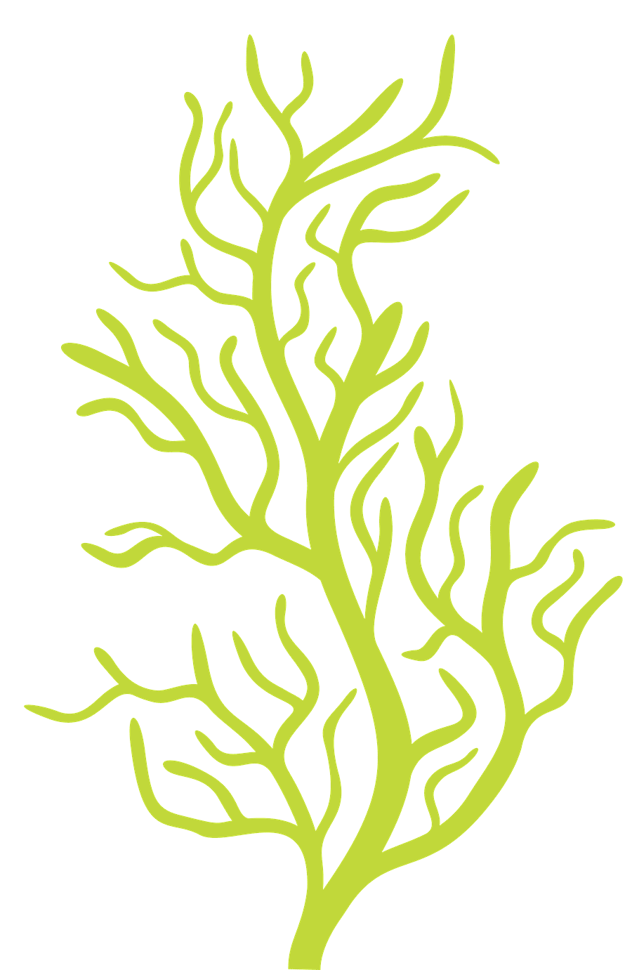 Seaweed pin page clipart image