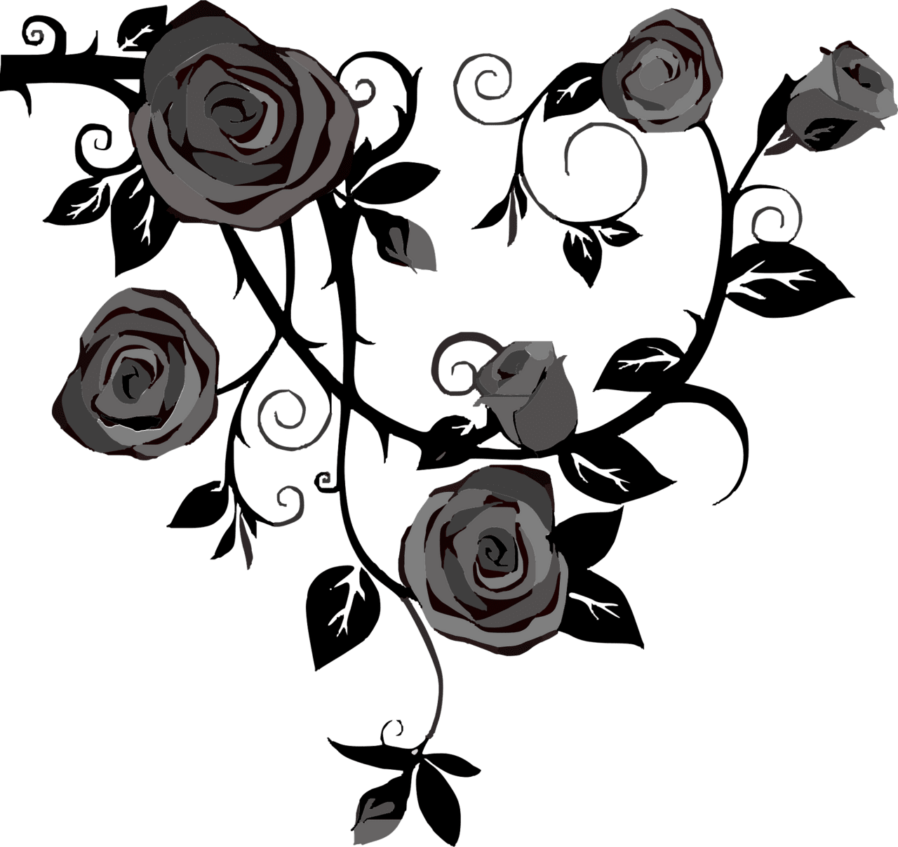 Rose black and white roses vector clipart images 2
