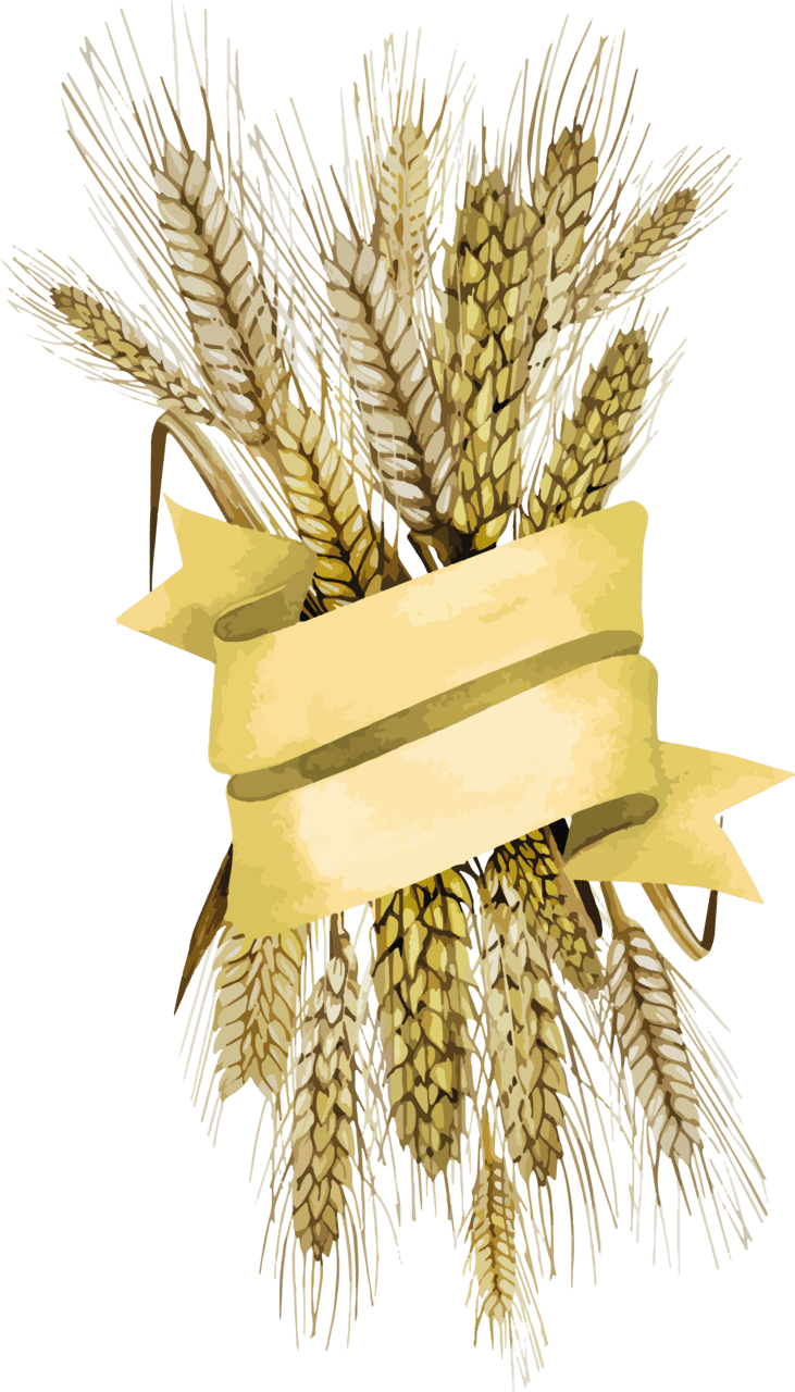 Wheat image size clipart 2