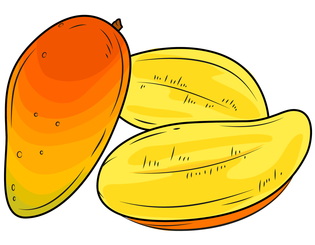 Mango cut in slices vector clipart images