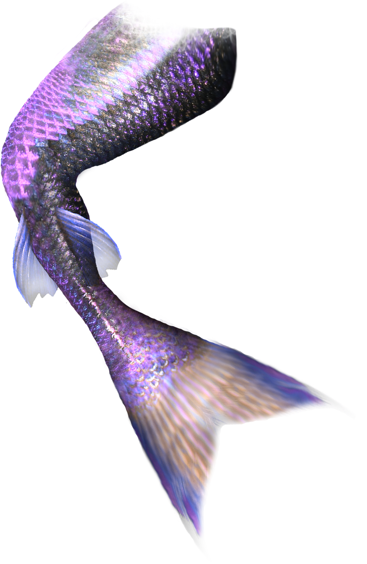 Mermaid tail pin page clipart photo 3