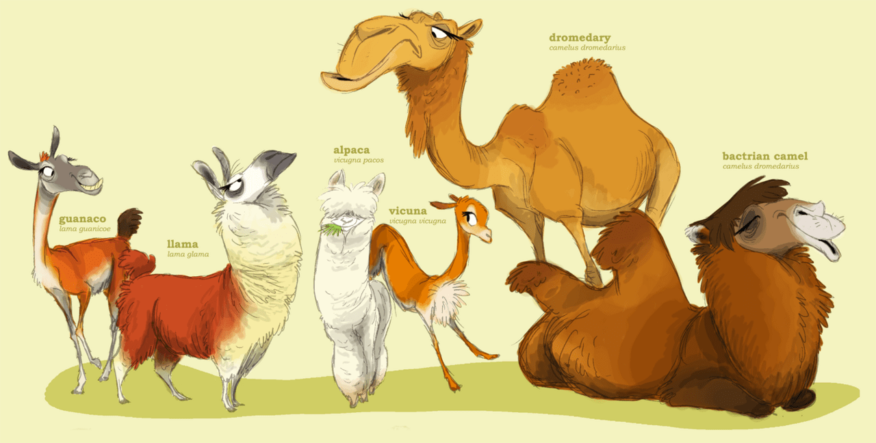 Llama pin page clipart image 2