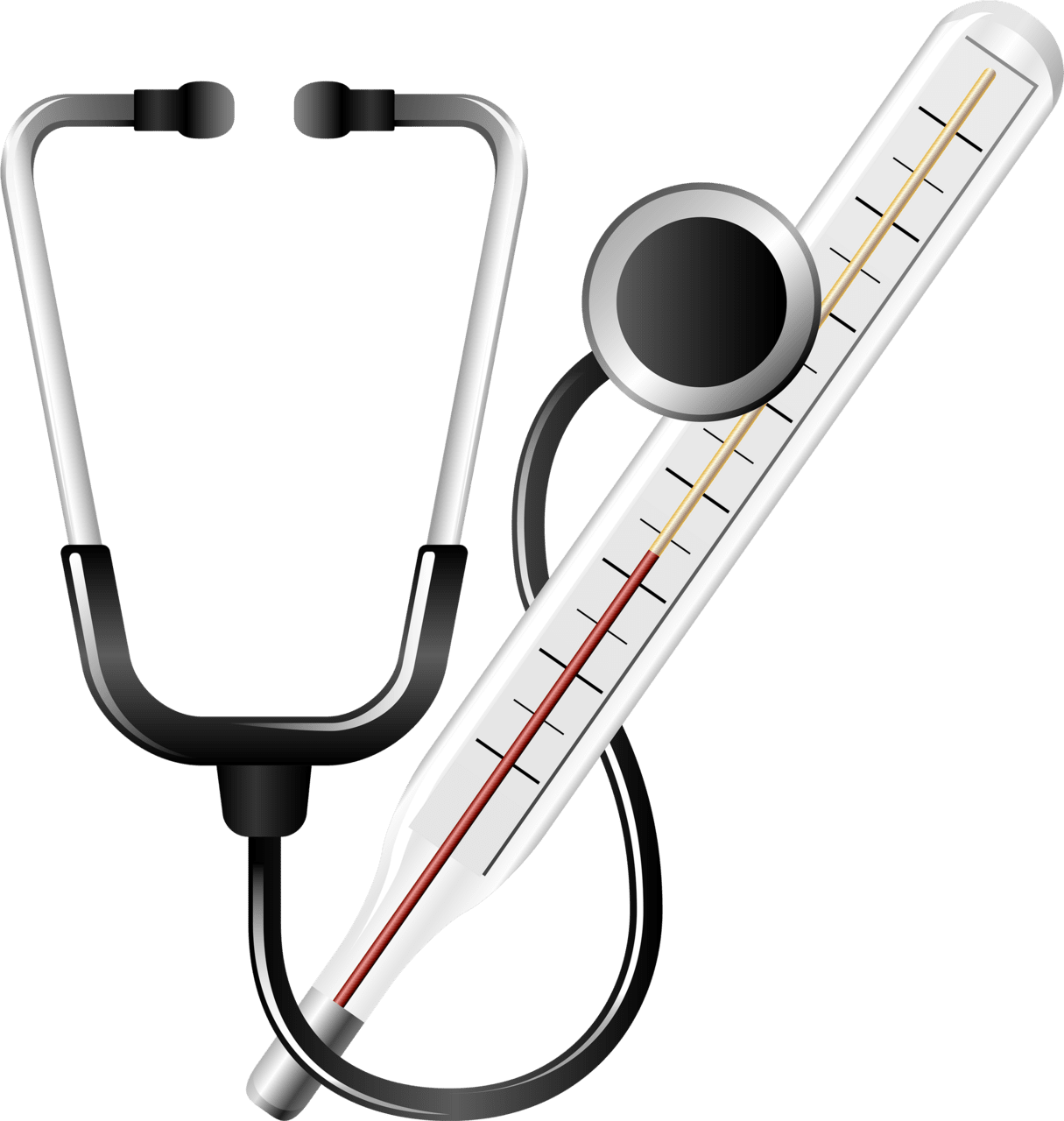 Stethoscope and medical thermometer images clipart full size