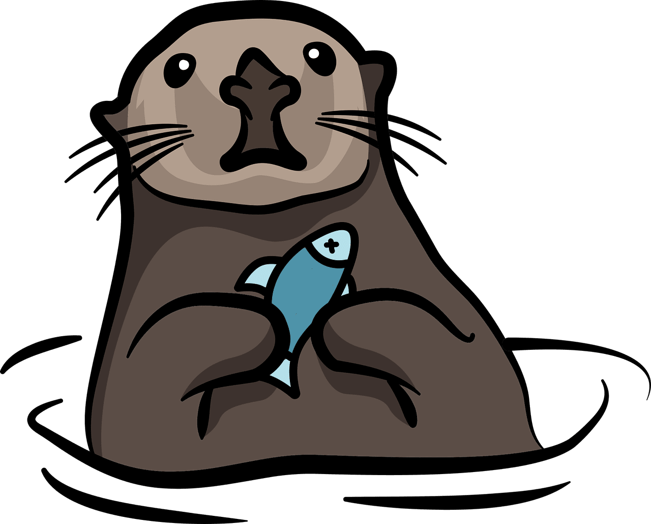 Explore otter now clipart photo