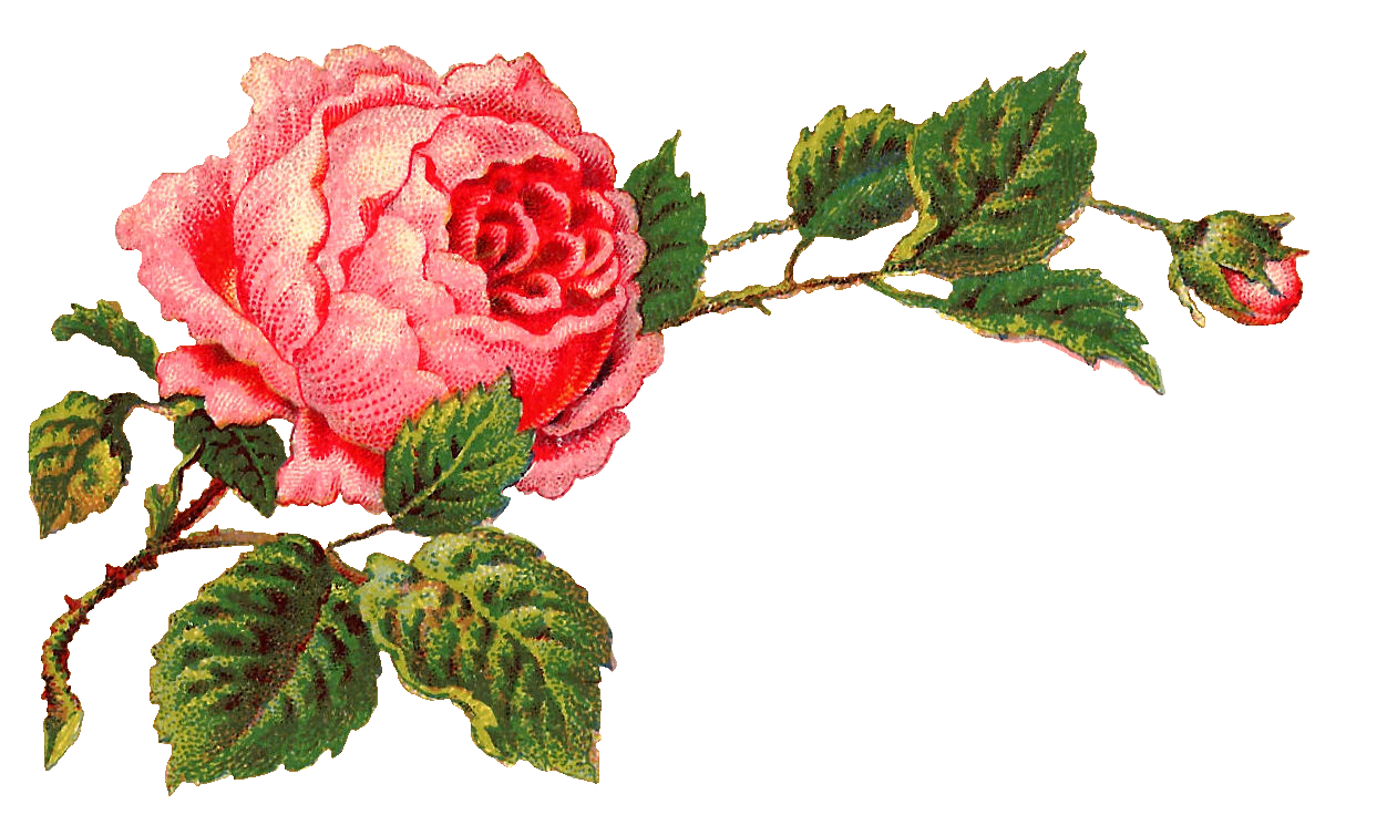 Pink flower pin page clipart image