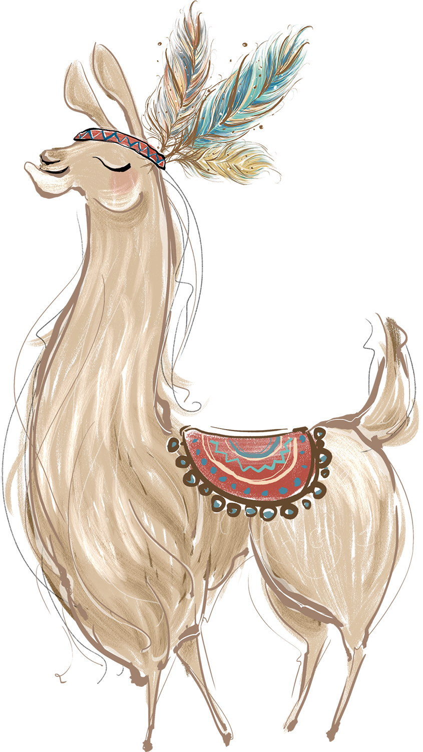 Llama page clipart picture