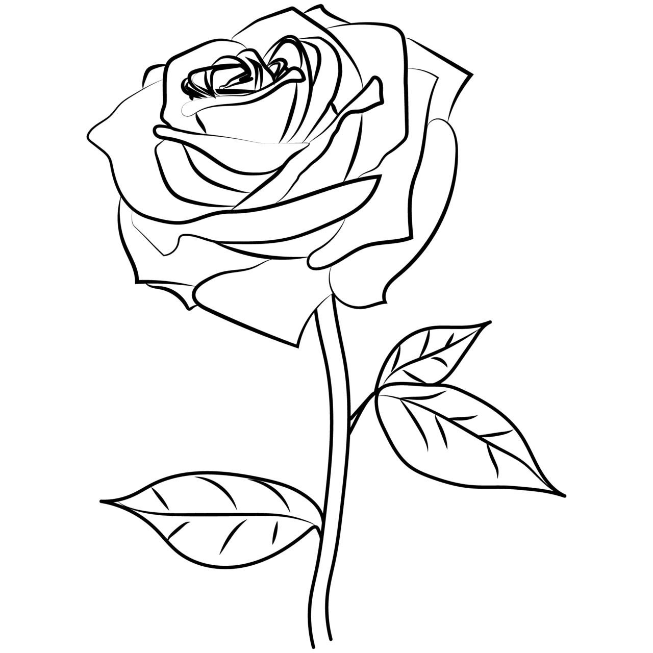 Rose black and white clipart image