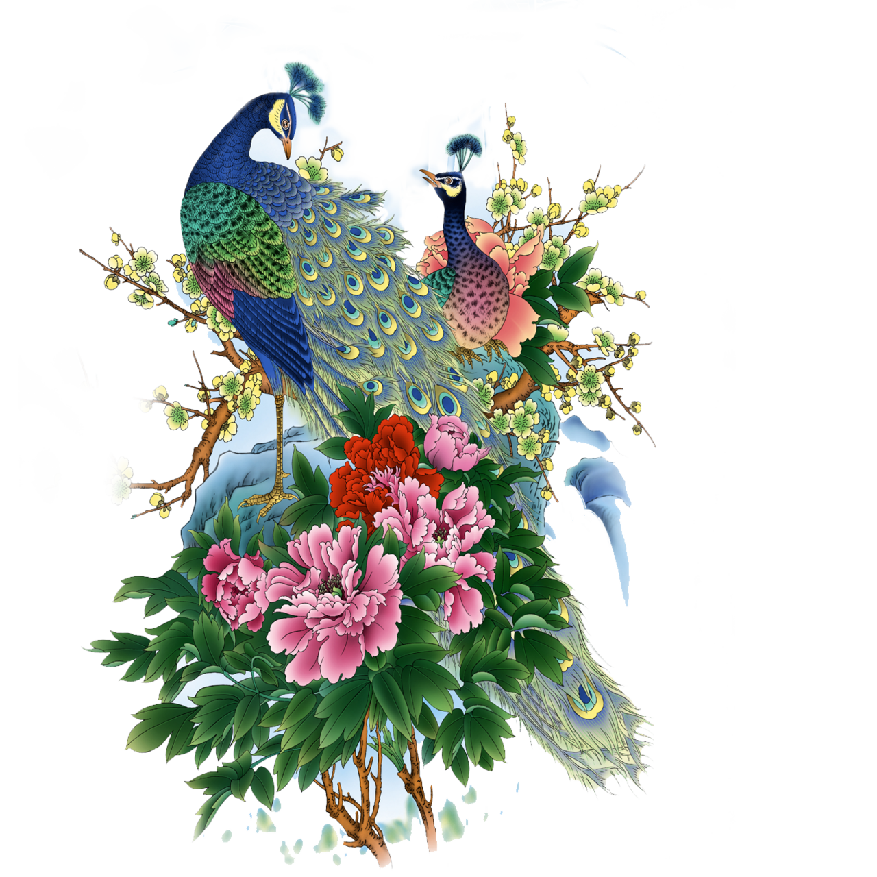 Peacock pin page clipart photo 2