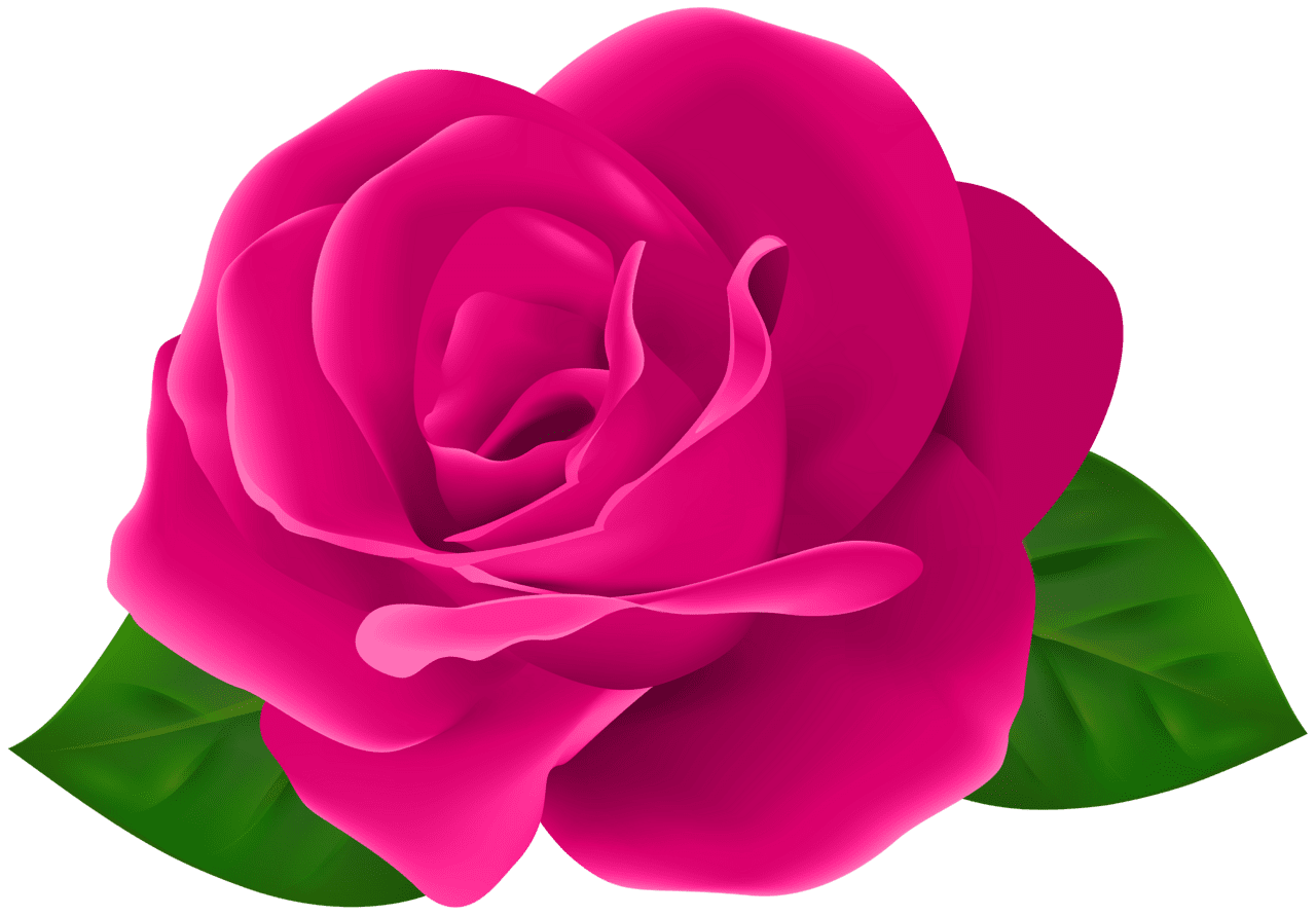 Pink flower rose with leaves clipart free