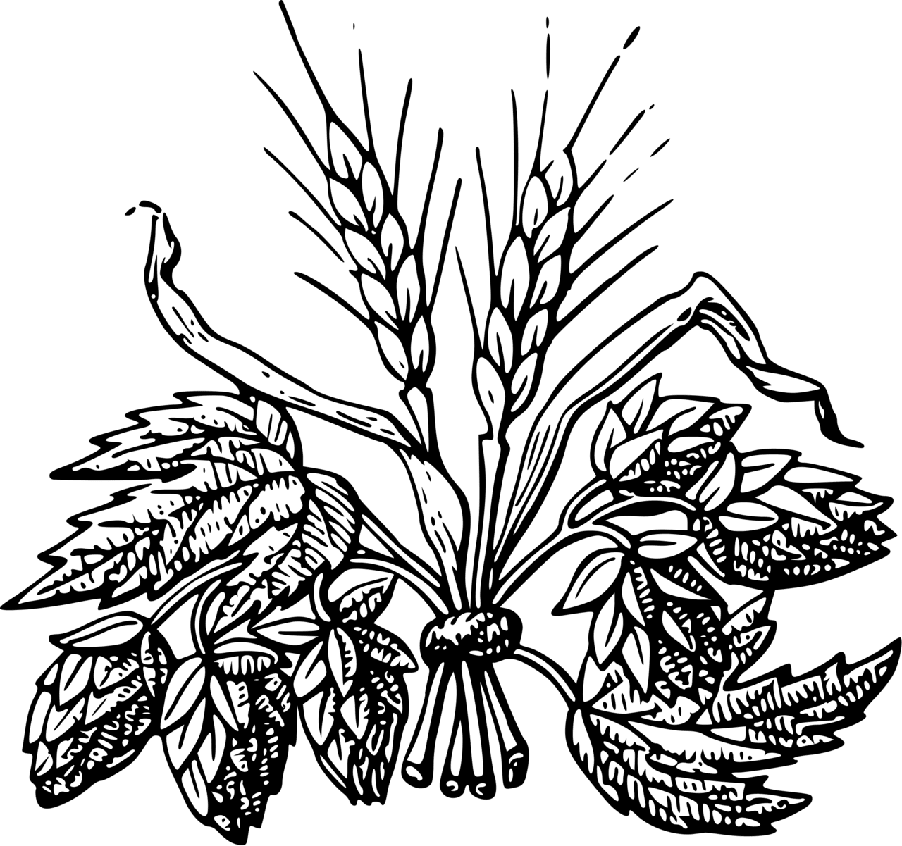 Wheat clipart images