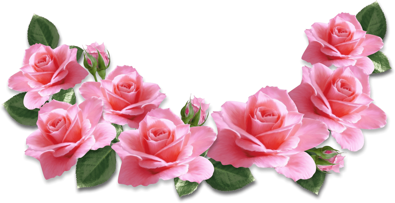 Pink flower roses decoration clipart image