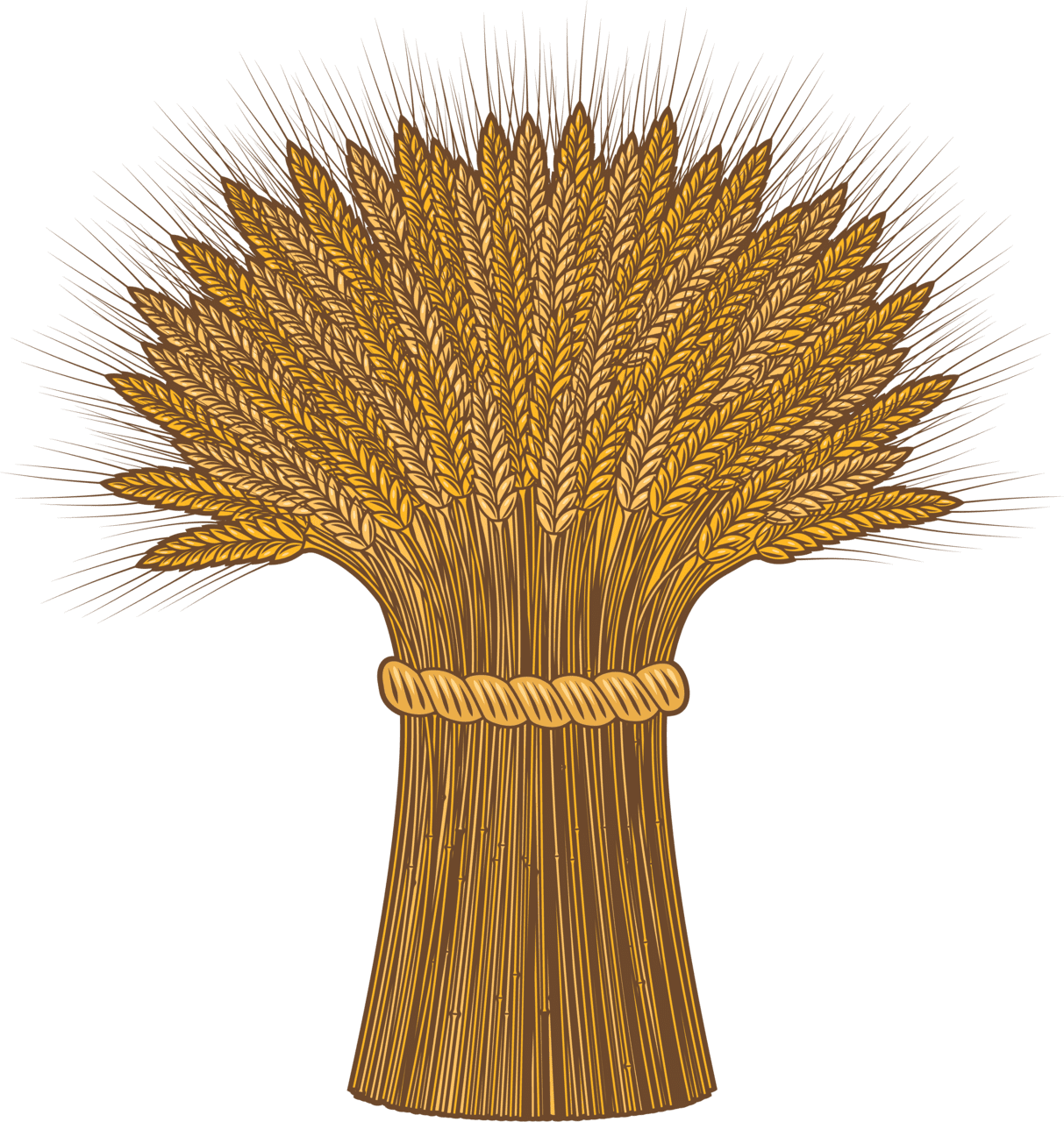 Wheat page clipart vector