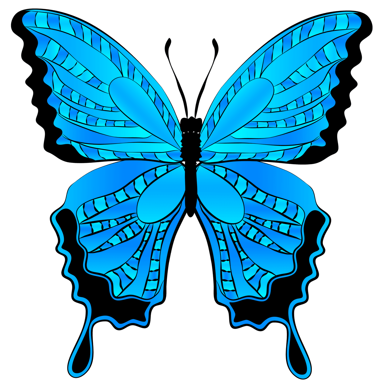 Insect background blue butterfly clipart