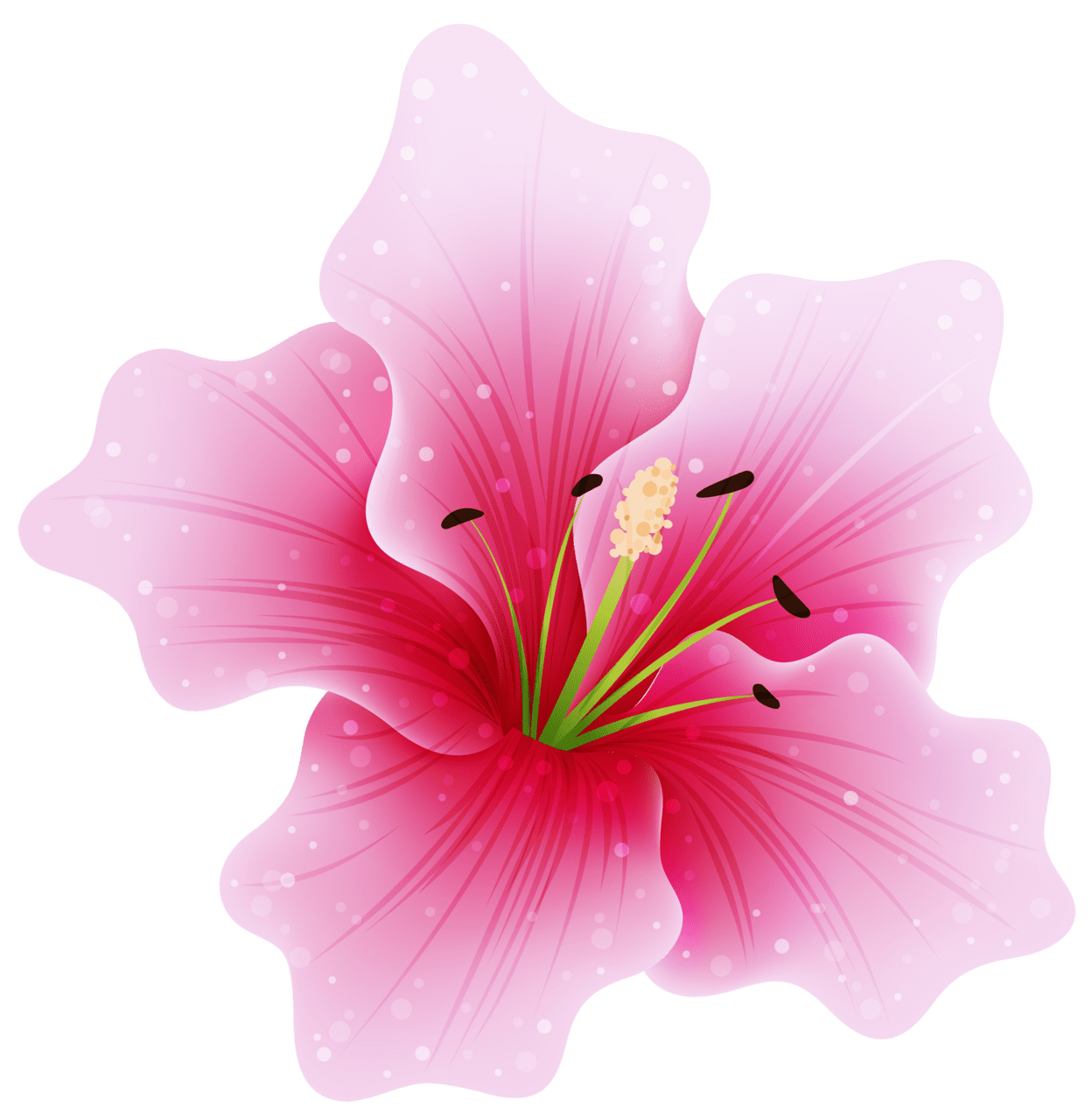 Large pink flower clipart transparent