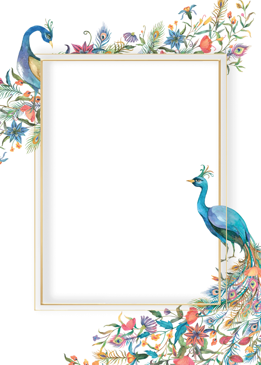 Peacock pin page clipart background