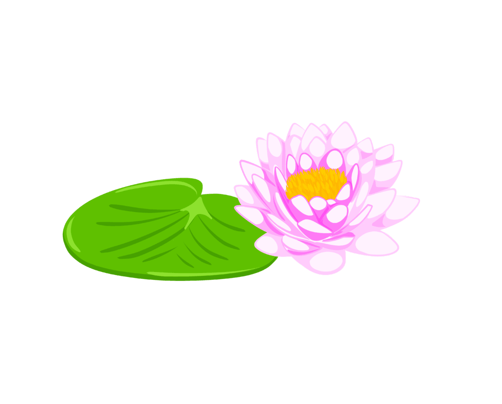 Lily pad pond plants of the best plus to avoid timberline landscaping clipart clip art