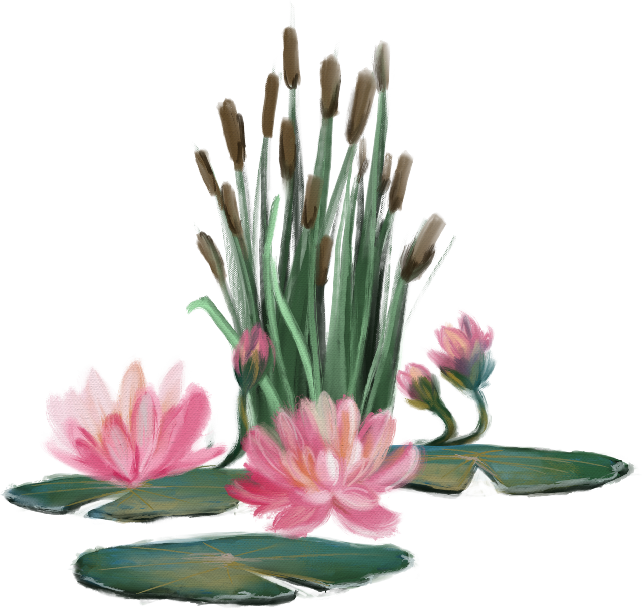 Lily pad page clipart logo