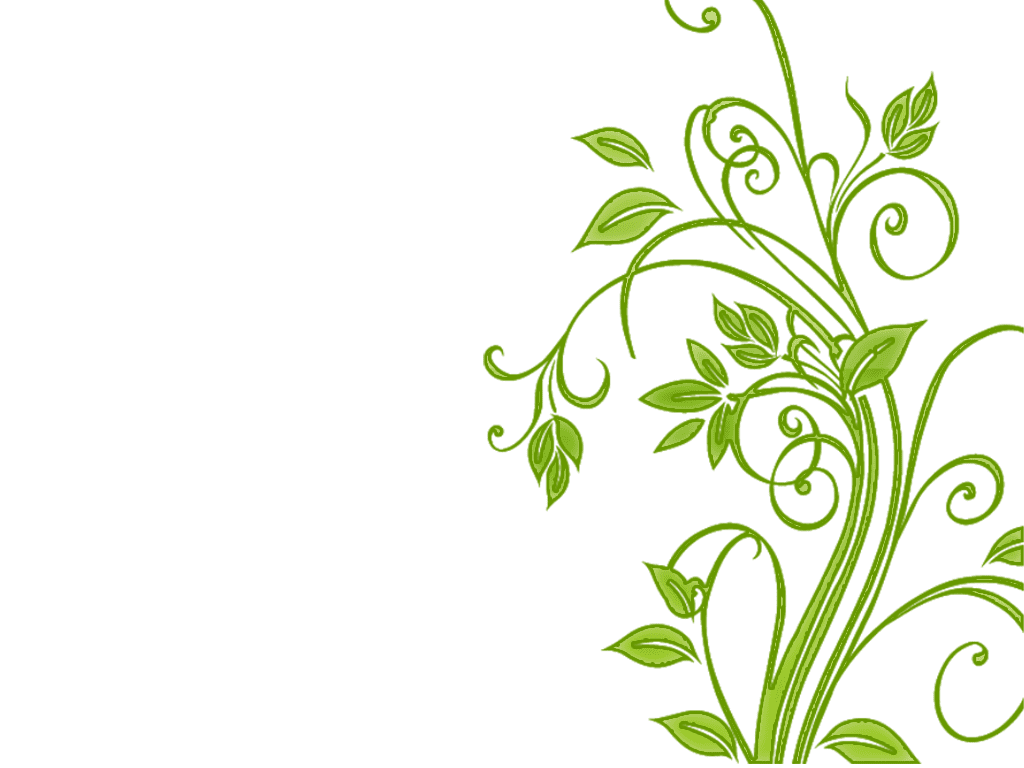 Vines flowers swirls clipart image