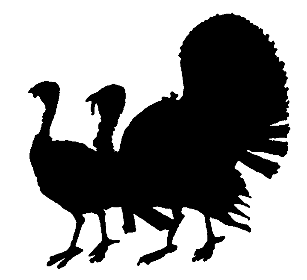 Turkey black and white silhouette meat clipart transparent