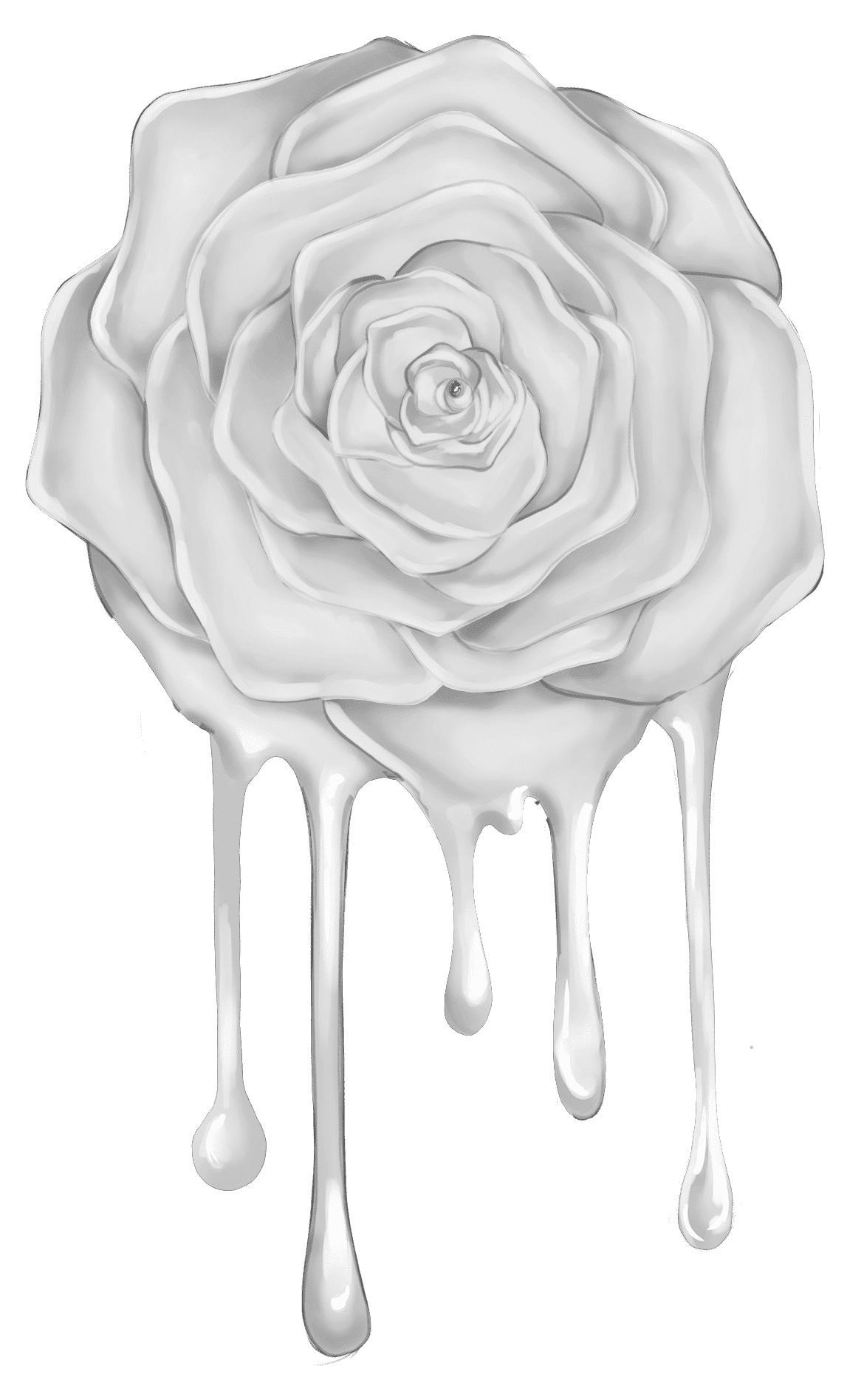 Rose black and white pin page clipart clip art