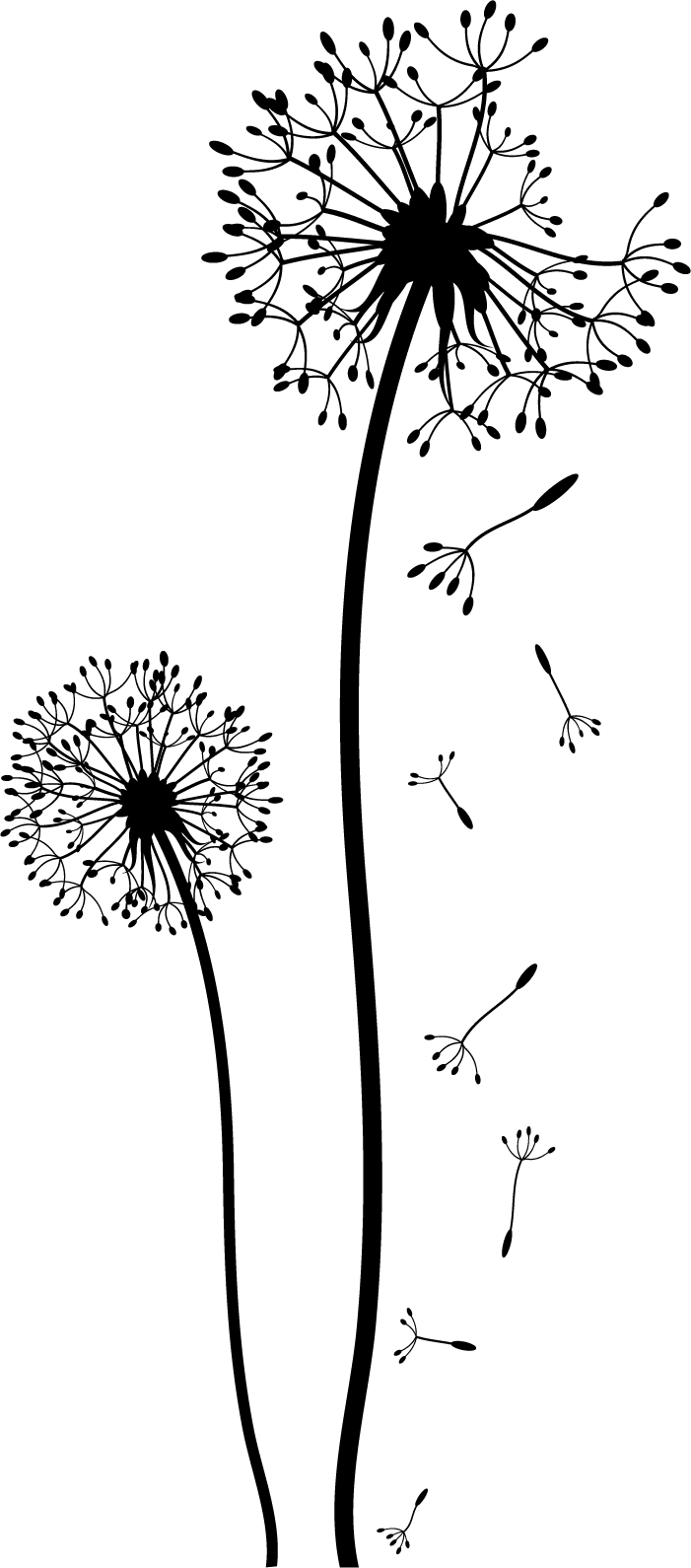 Wildflower how to paint dandelion clipart free