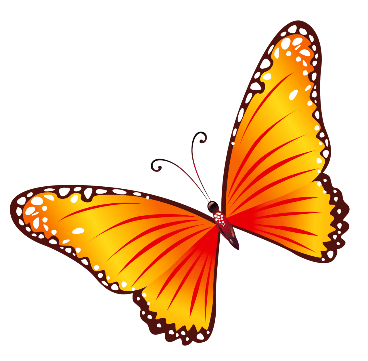 Insect orange butterfly clipart background cartoon