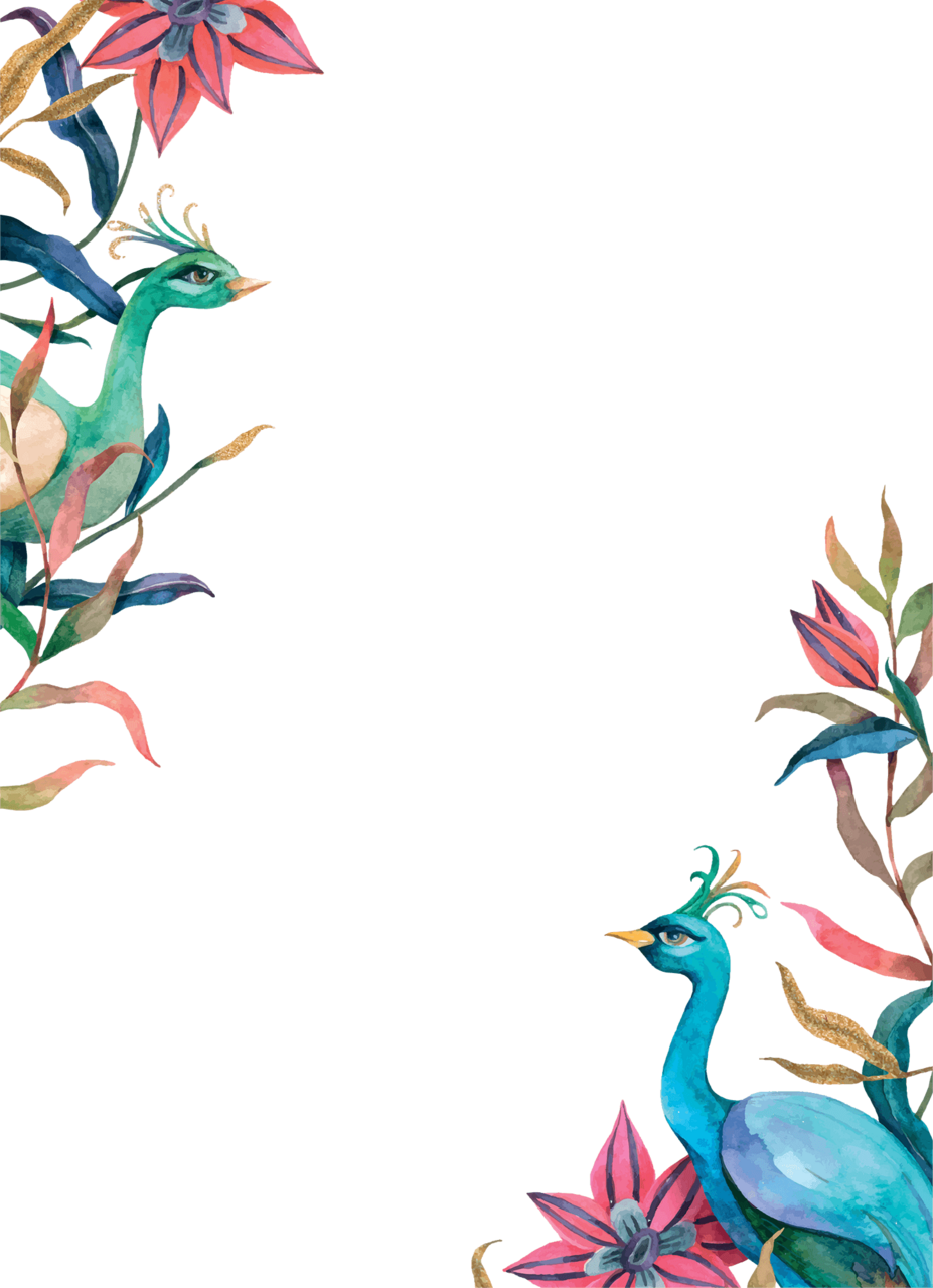 Florist near me peacock design clipart free