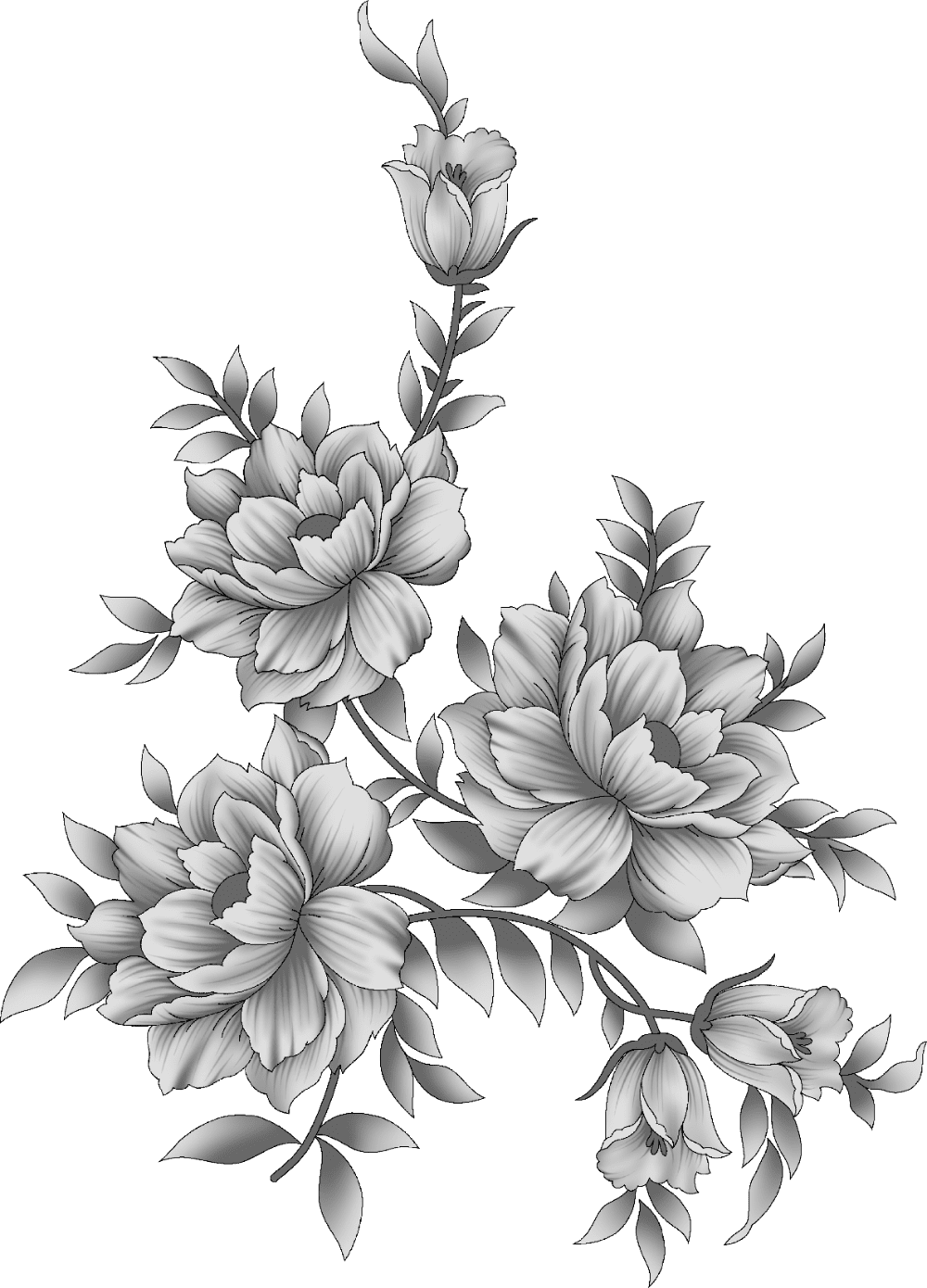 Rose black and white pin page clipart image 2