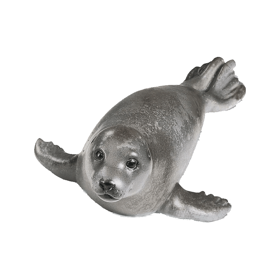 Harp seal images hd photo clipart 2