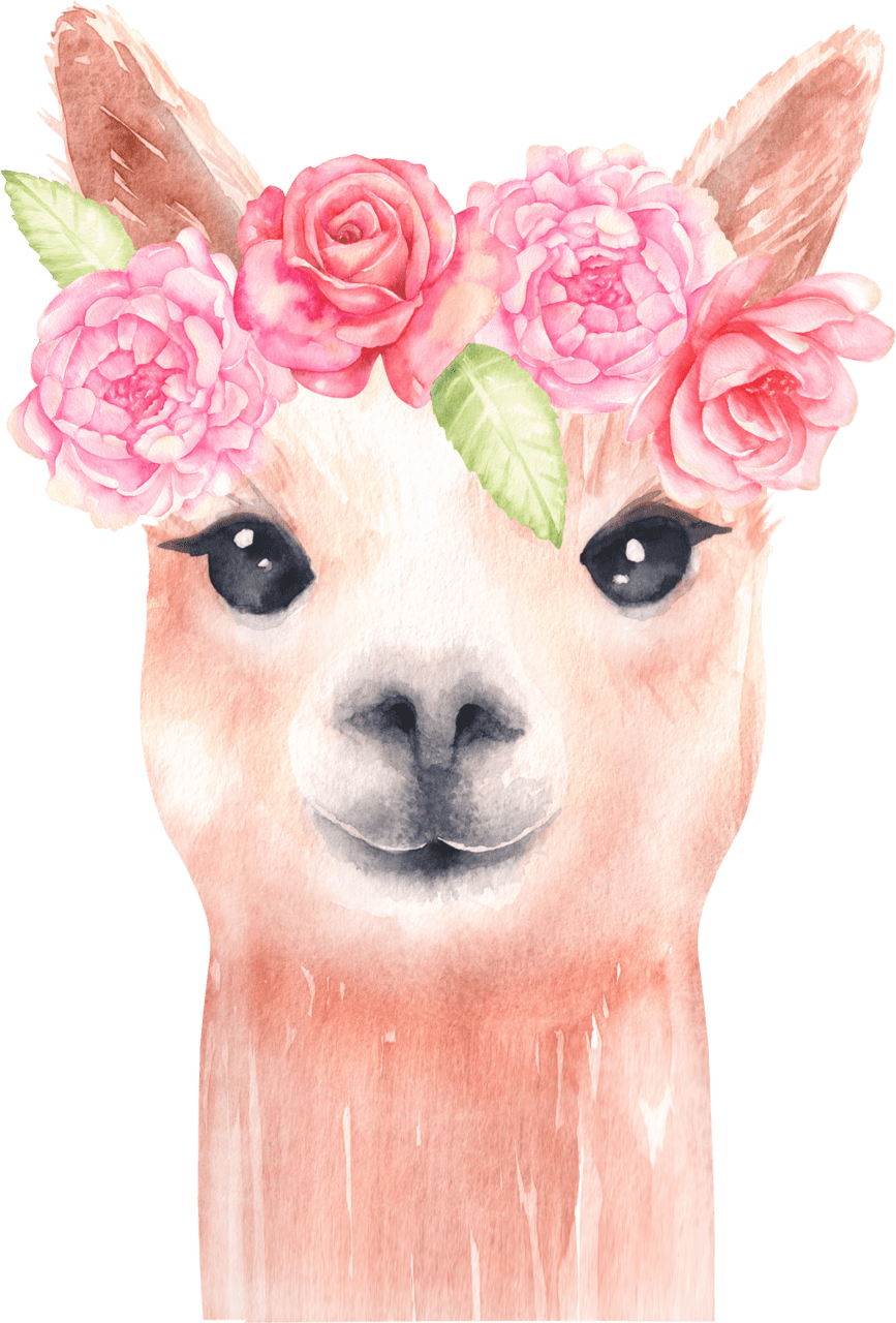 Hd alpaca and flower clipart llama watercolor image