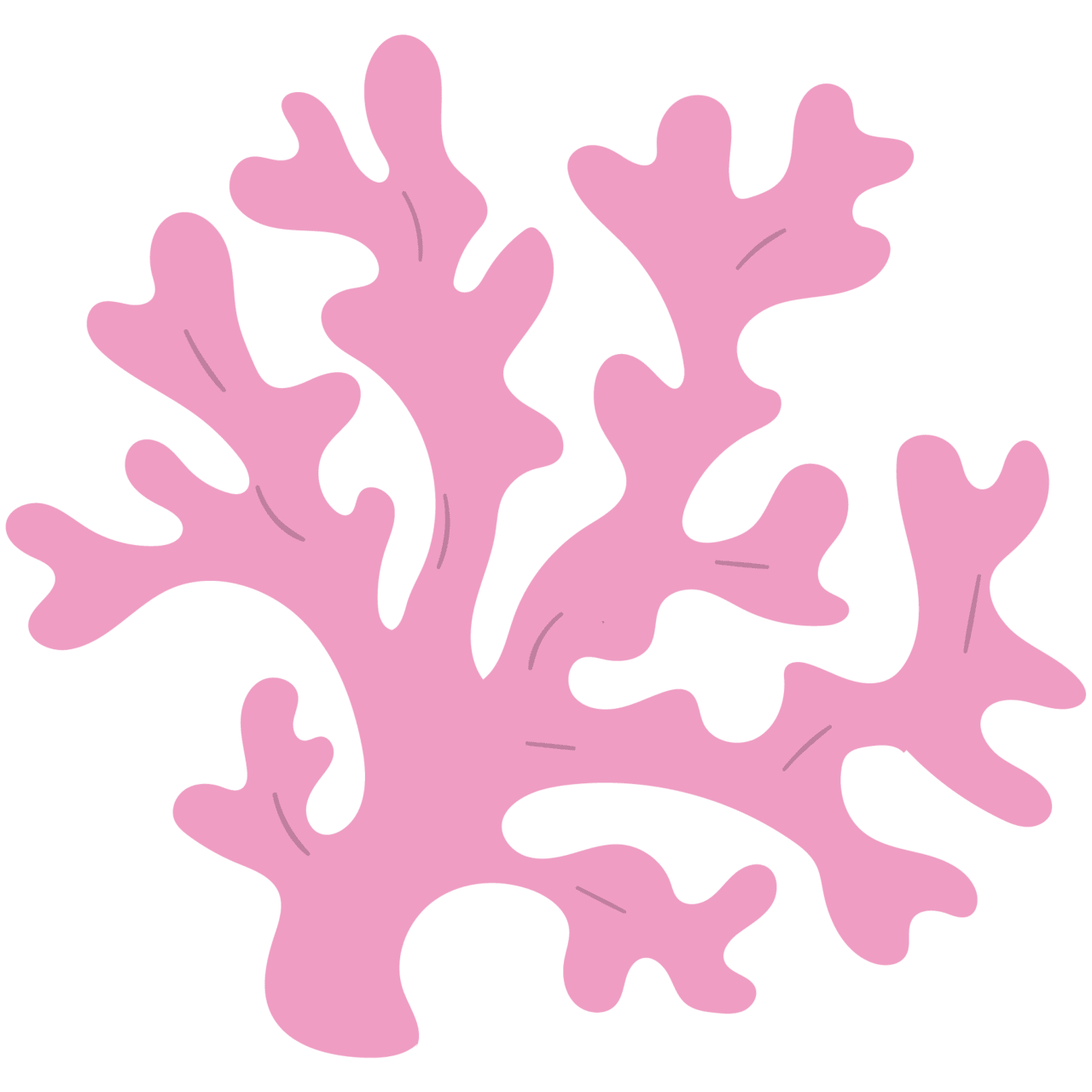 Seaweed page clipart transparent