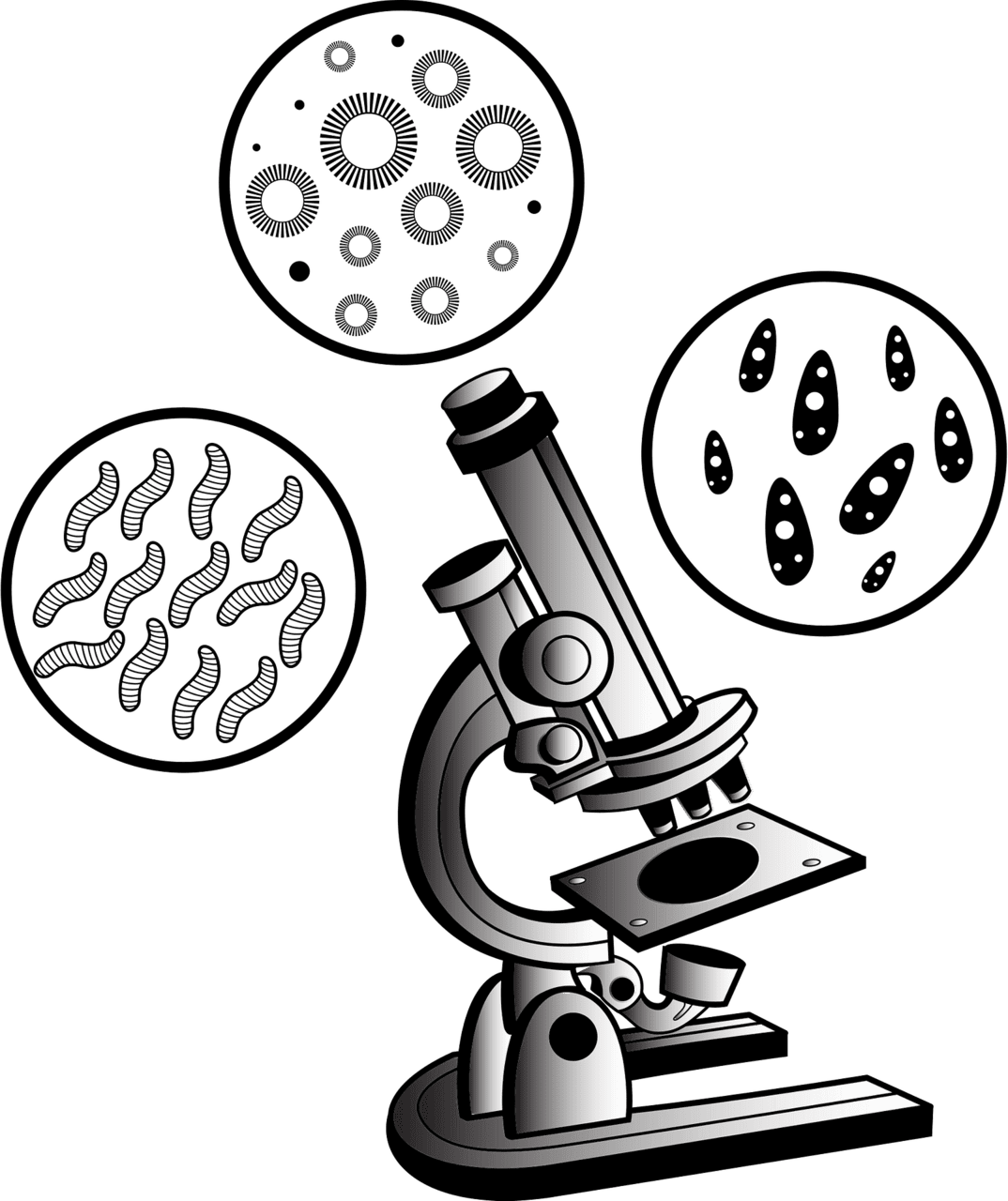 Microscope virus vector clipart images