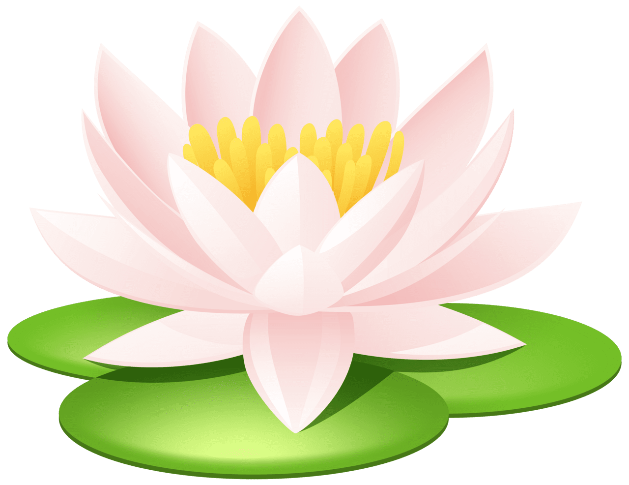 Lily pad water image clipart