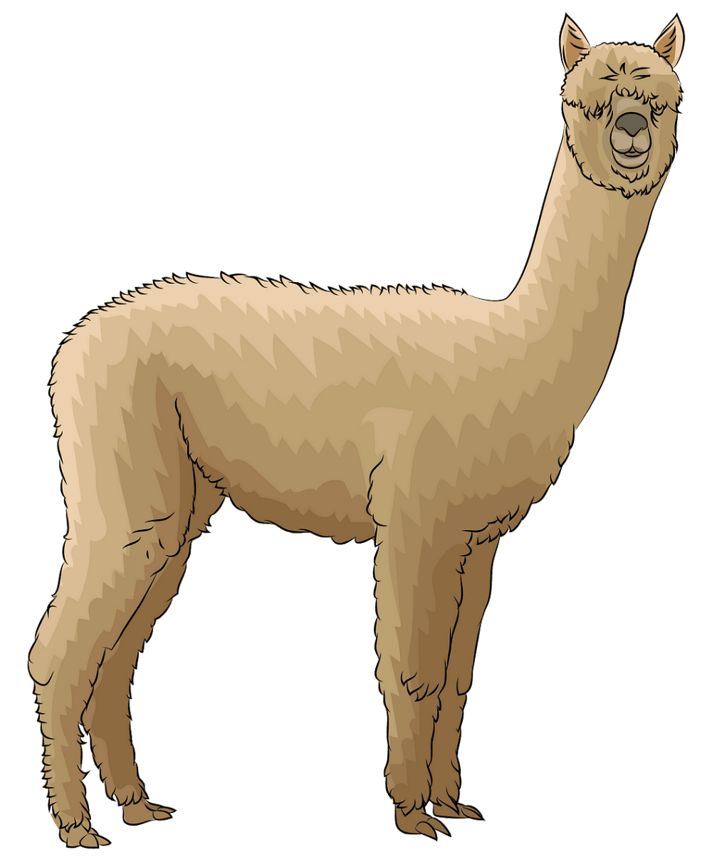 Llama alpaca im gen predise adas vectorial gratuitas en creazilla clipart