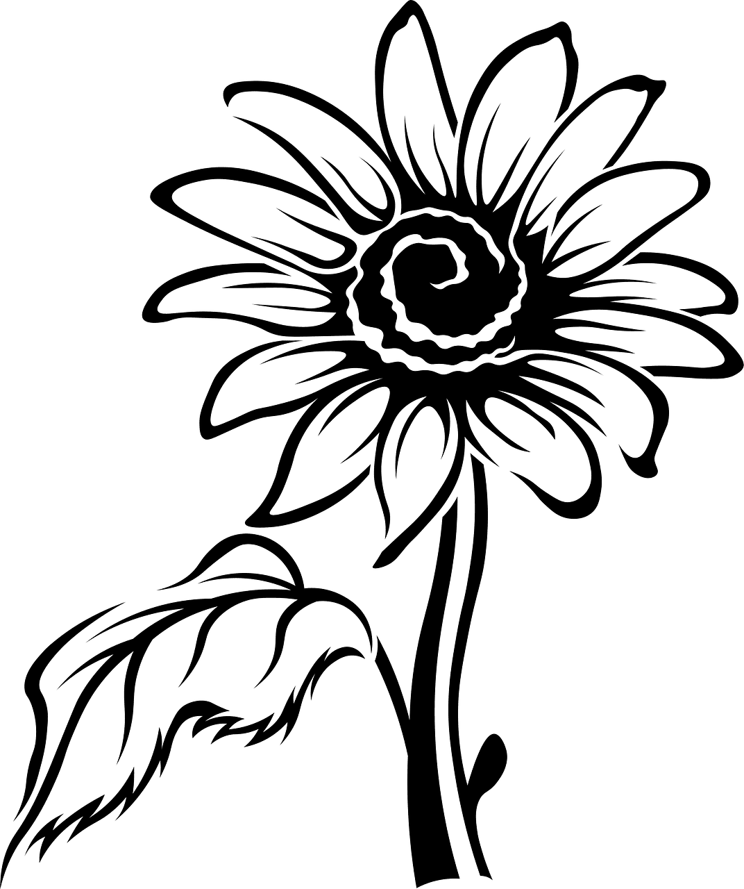 Sunflower black and white vector clipart images