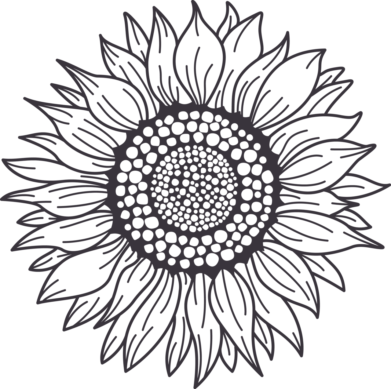 Sunflower black and white monograms coloring mini bundle clipart background
