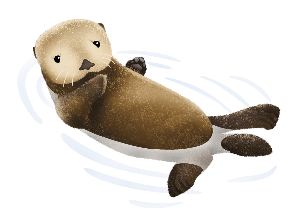 Otter pacific currents spring clipart vector